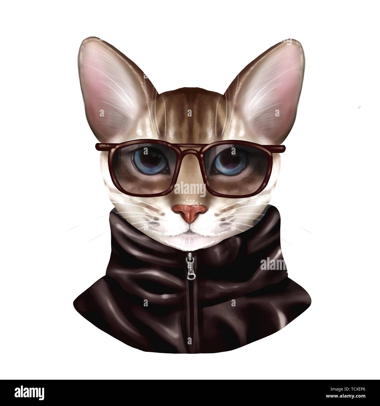 Dressed up cat. Cute illustration Stock Photo