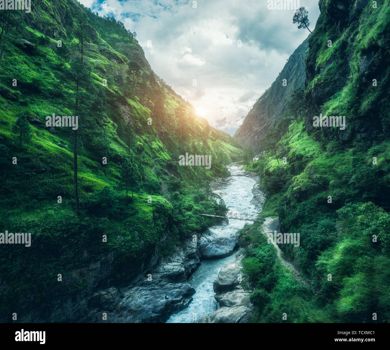 Beautiful mountains covered green grass at sunset. Landscape Stock Photo