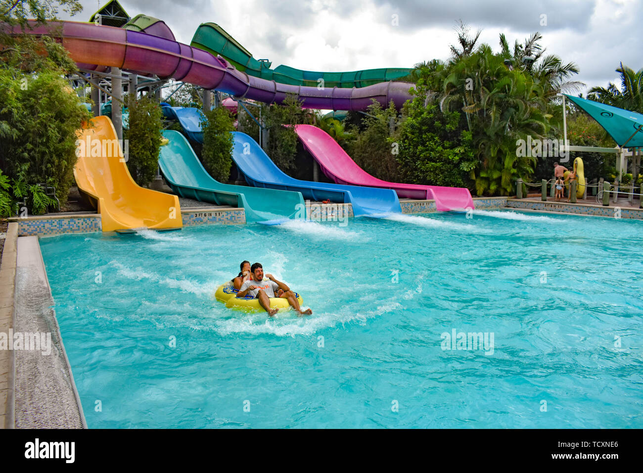 Orlando, Florida. October 24, 2019. Man Wears In Deo Speramus Tattoo,  Watching With His Little Son Taumata Racer At Aquatica. Stock Photo,  Picture and Royalty Free Image. Image 136924200.