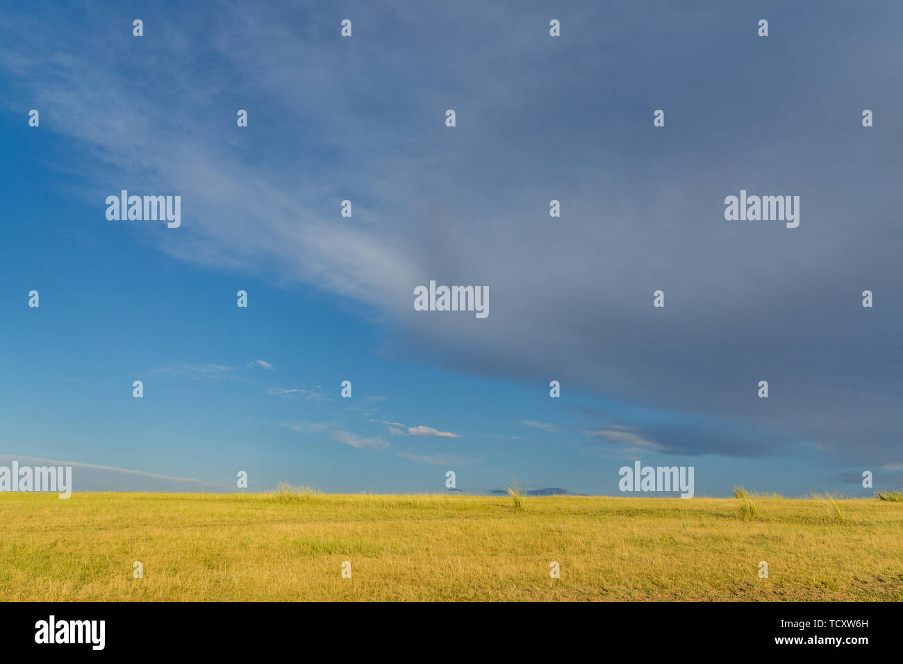 Grassy houses under blue sky and white clouds Stock Photo - Alamy