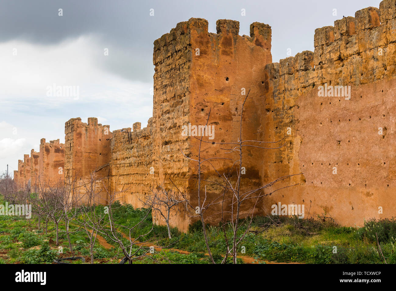 Outer castle wall, Mansourah castle, Tlemcen, Algeria, North Africa, Africa Stock Photo