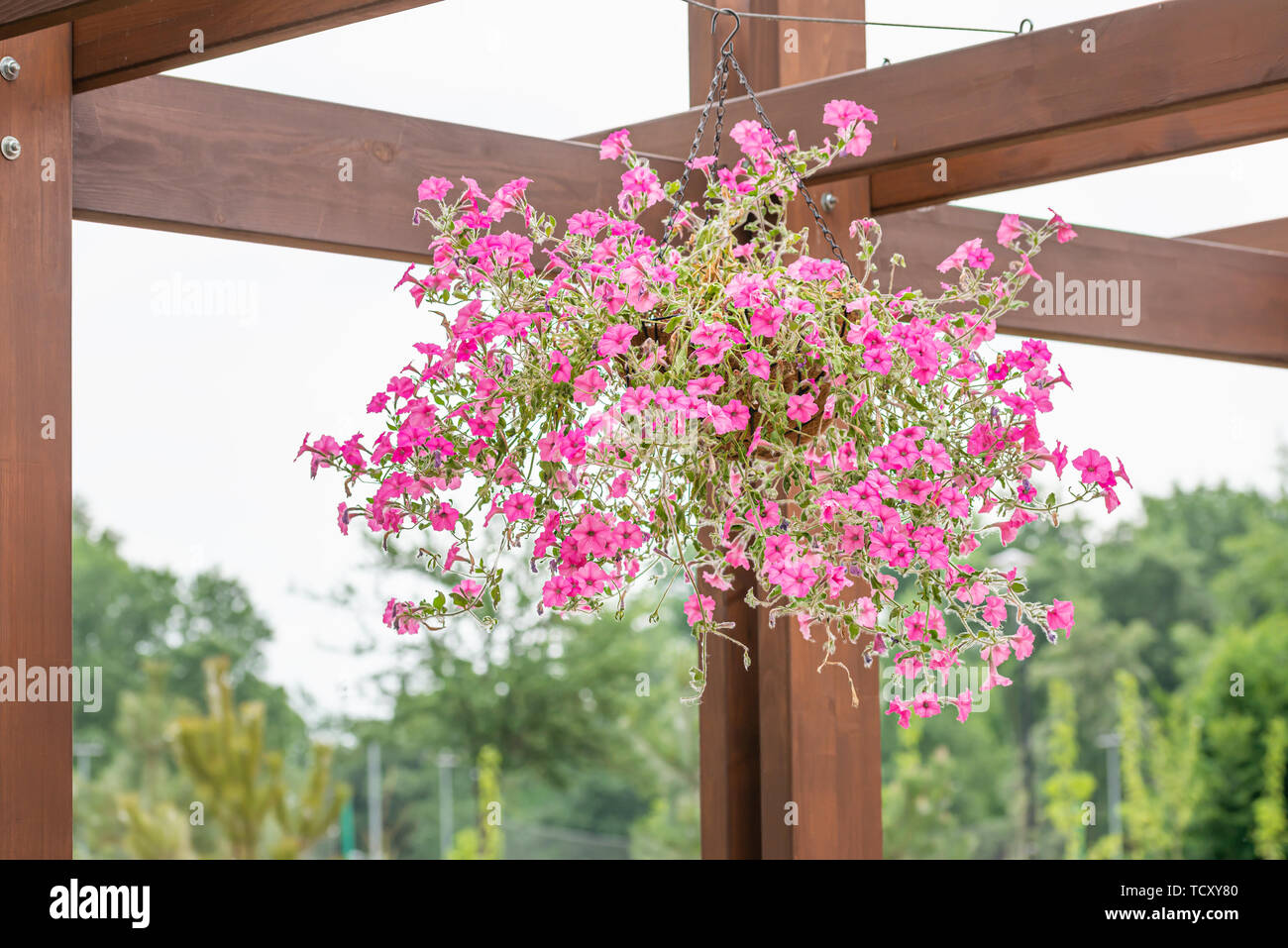 Hanging baskets garden hires stock photography and images Alamy
