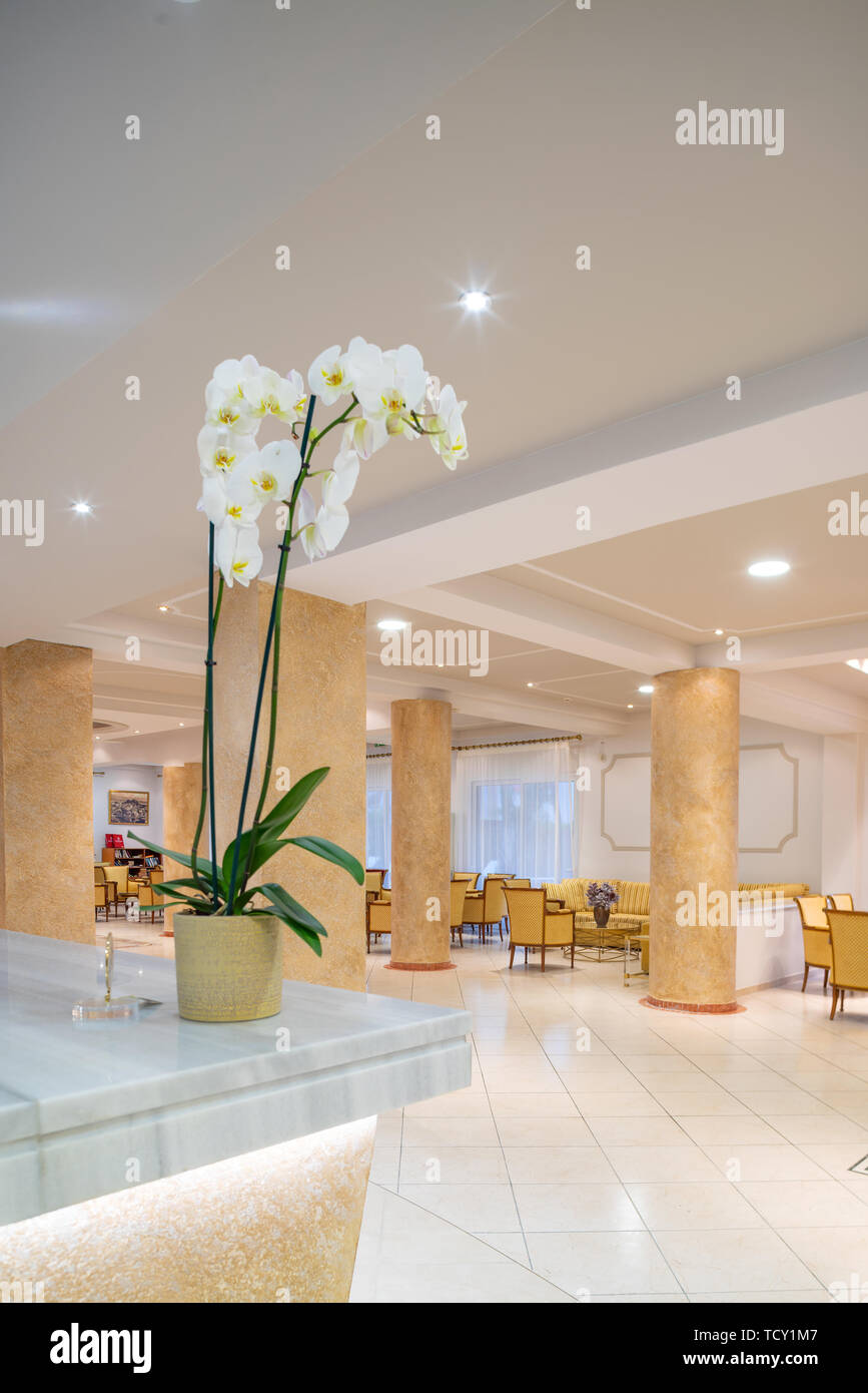 Lounge area of a hotel, club, company lobby. Fragment of the modern lobby of the five stars hotel Stock Photo