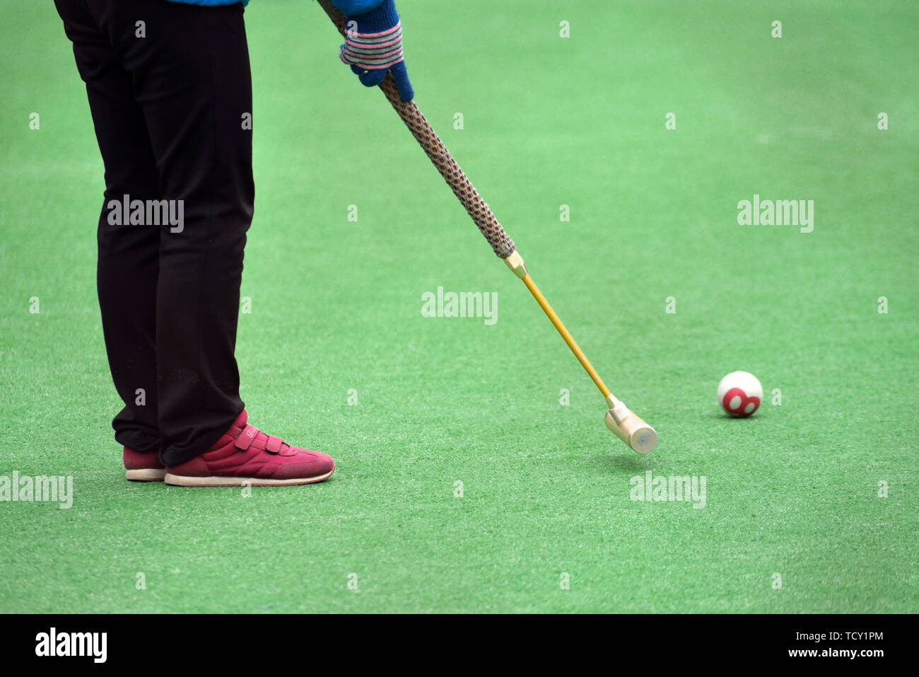 Cricket playing game for the elderly sports sports project exercise hi ...