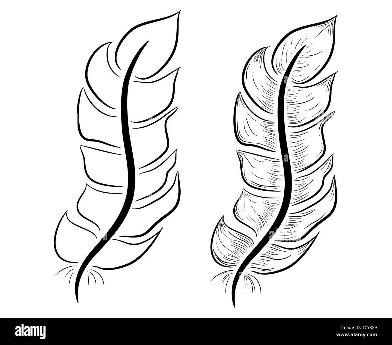 https://c8.alamy.com/comp/TCY3X9/feather-illustration-drawing-engraving-ink-line-art-TCY3X9.jpg