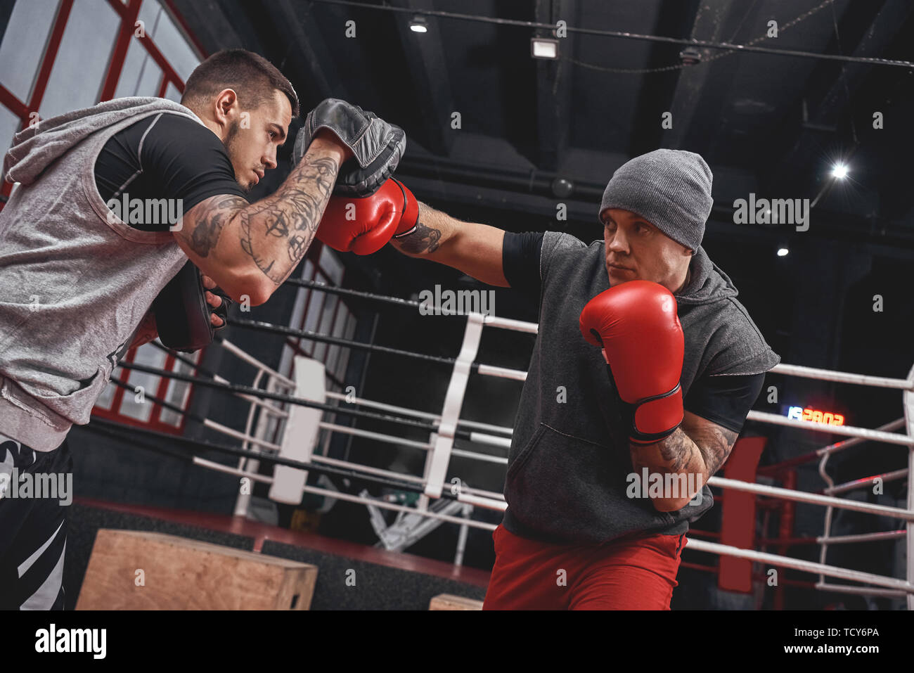 Confident focused athlete in boxing gloves punching right hook. Young boxer training on boxing