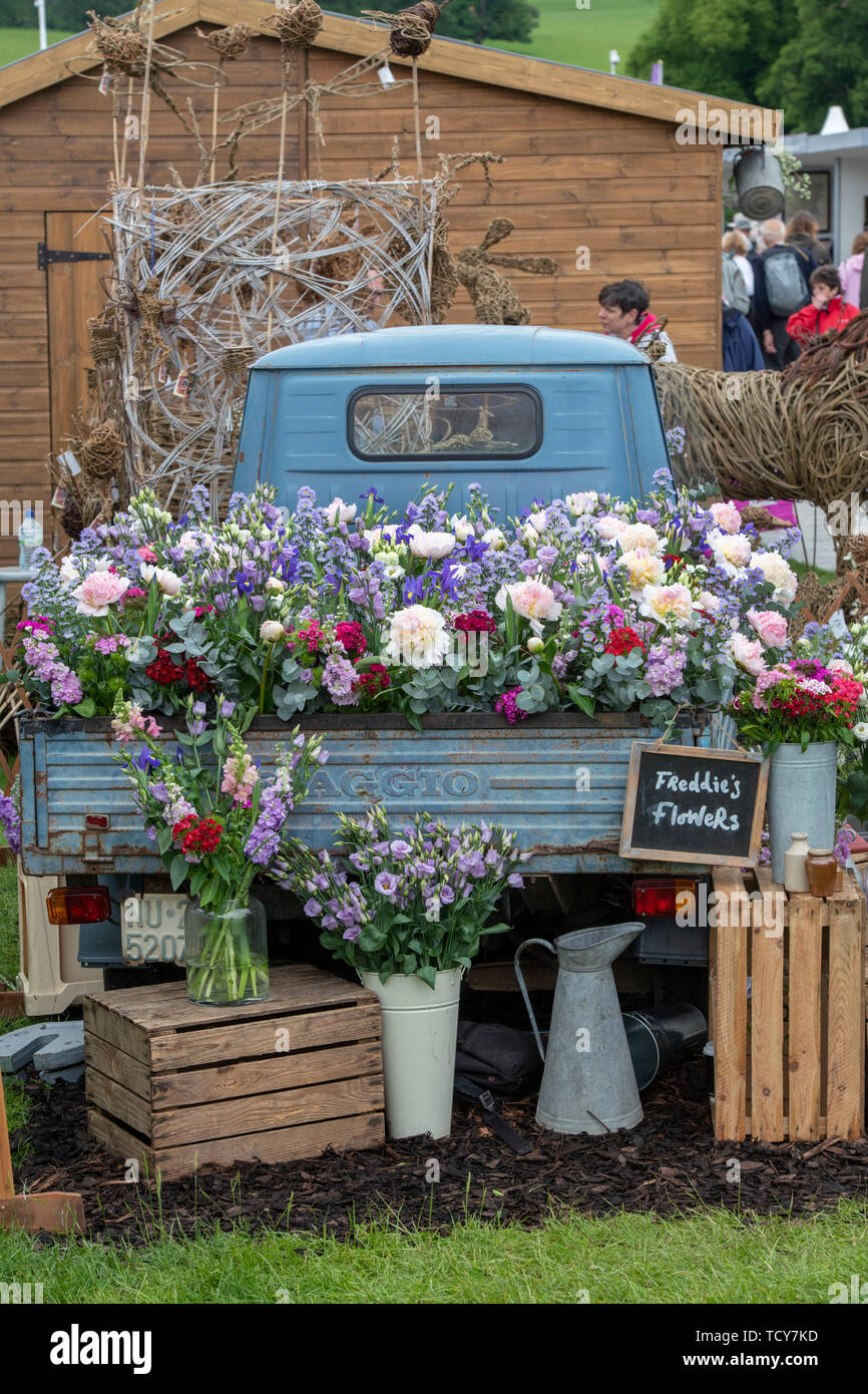 Freddies flowers display at RHS Chatsworth flower show 2019. Chatsworth, Derbyshire, UK Stock Photo