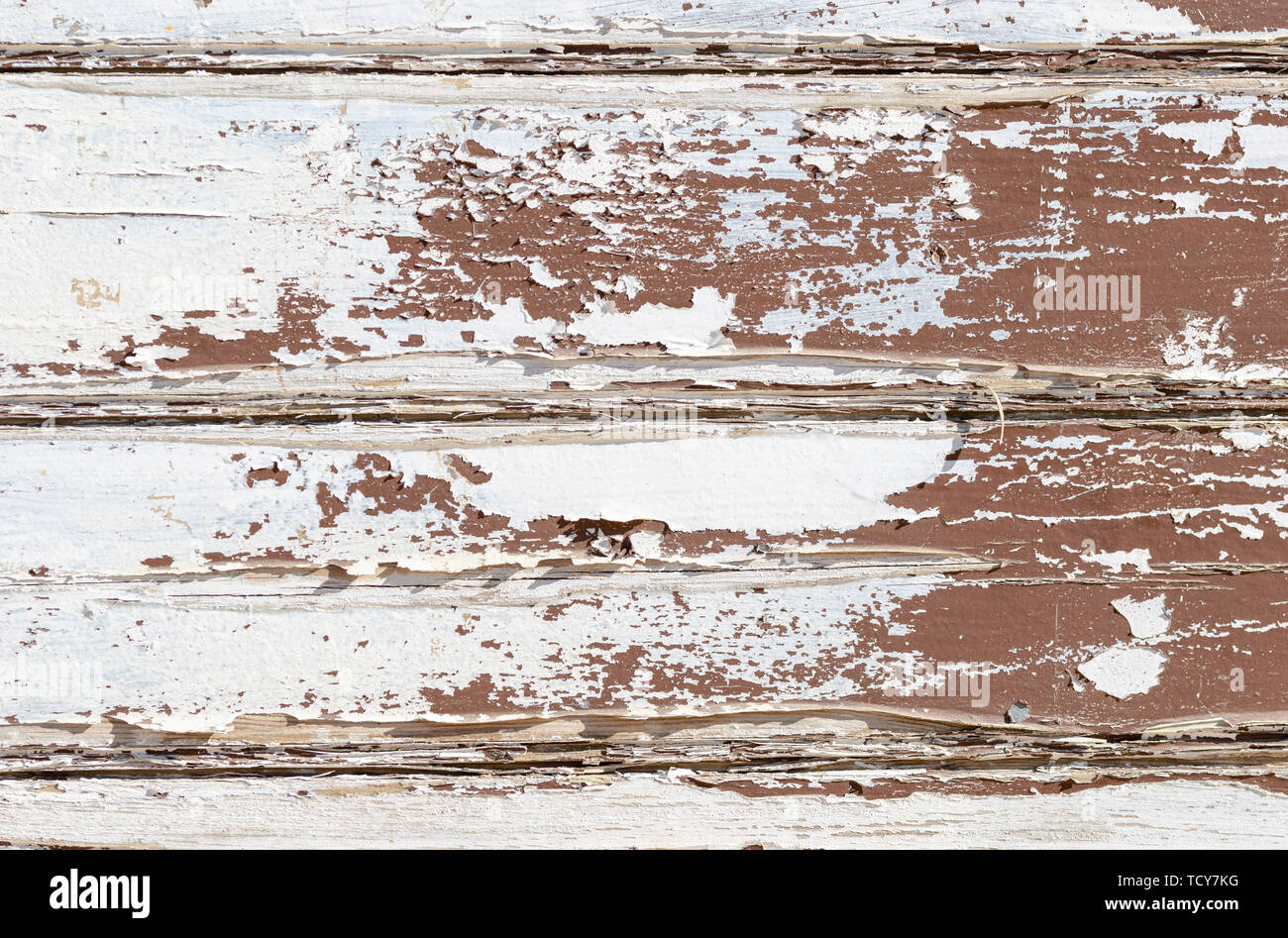 Grunge Wooden Board Texture Wall with White Paint is severely peeling ...