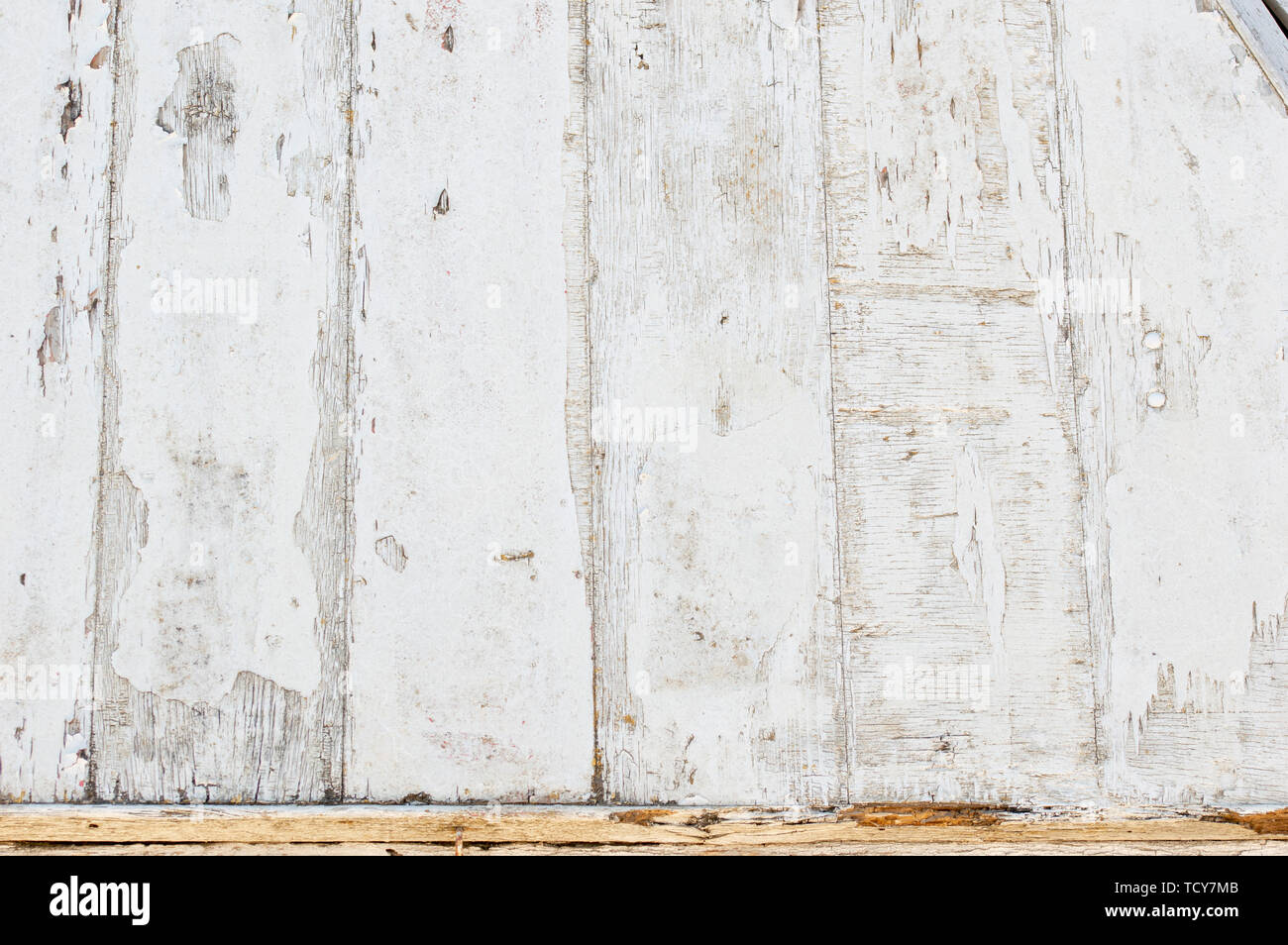Grunge Wooden Board Texture Wall with White Paint is severely peeling ...