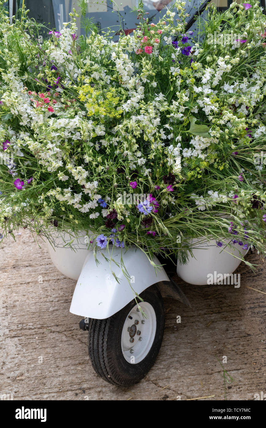 Indian rickshaw covered in wildflowers at Daylesford Organic farm summer festival. Daylesford, Cotswolds, Gloucestershire, England Stock Photo