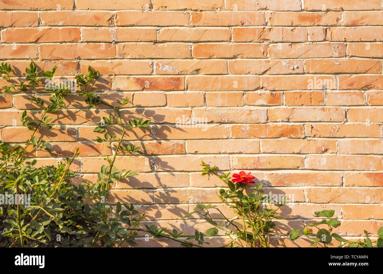 Hakka Building Wall Background Stock Photo Alamy Hakka Building Wall Background Stock Photo Alamy