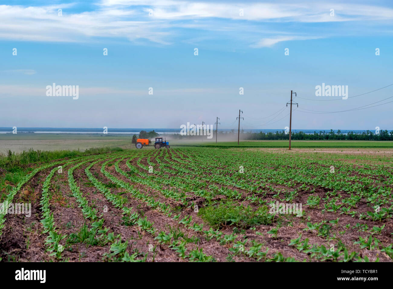 Blue tractor with spraying device in green field distant view Stock Photo
