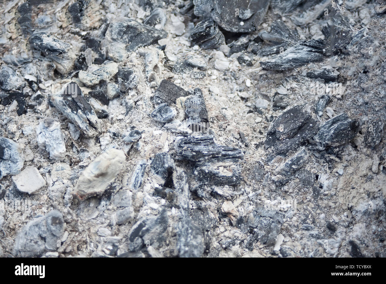 The coal. Background charcoal not burning Stock Photo Alamy