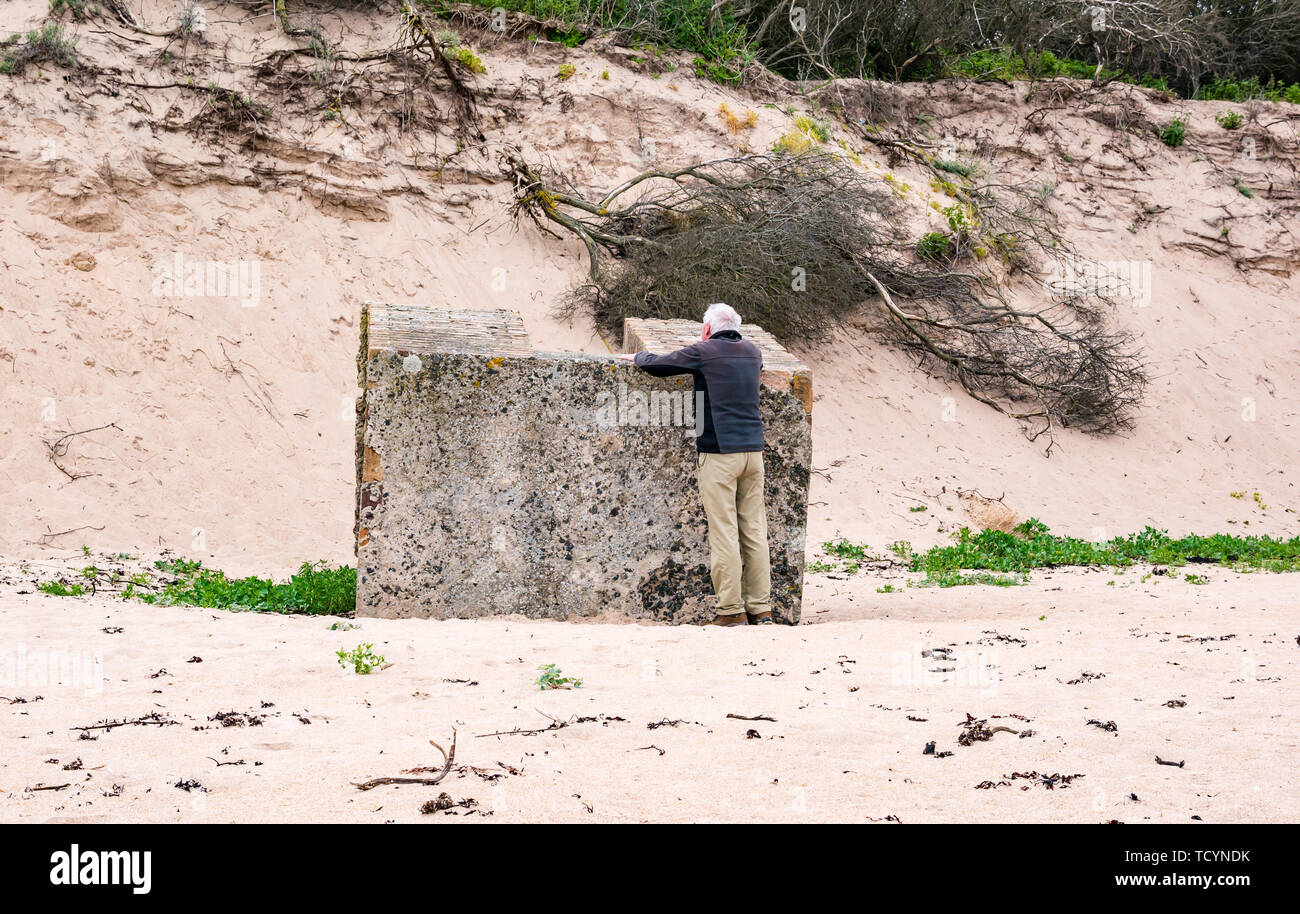 Senior Man Looking At World War Ii Concrete Block Buried On Tyninghame Beach East Lothian Scotland Uk Stock Photo Alamy