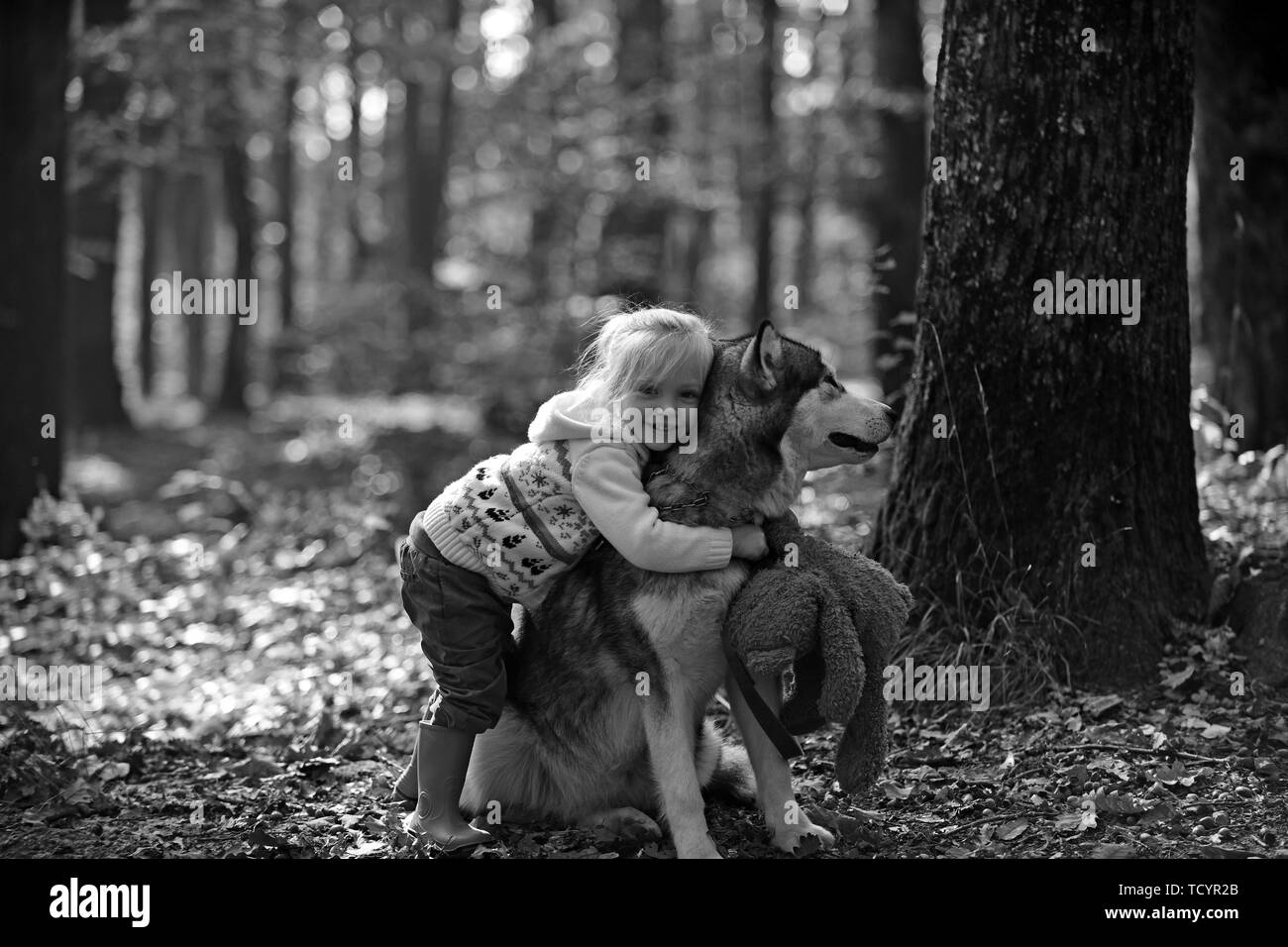 Happy little girl playing with big staying dog in forest Stock Photo ...