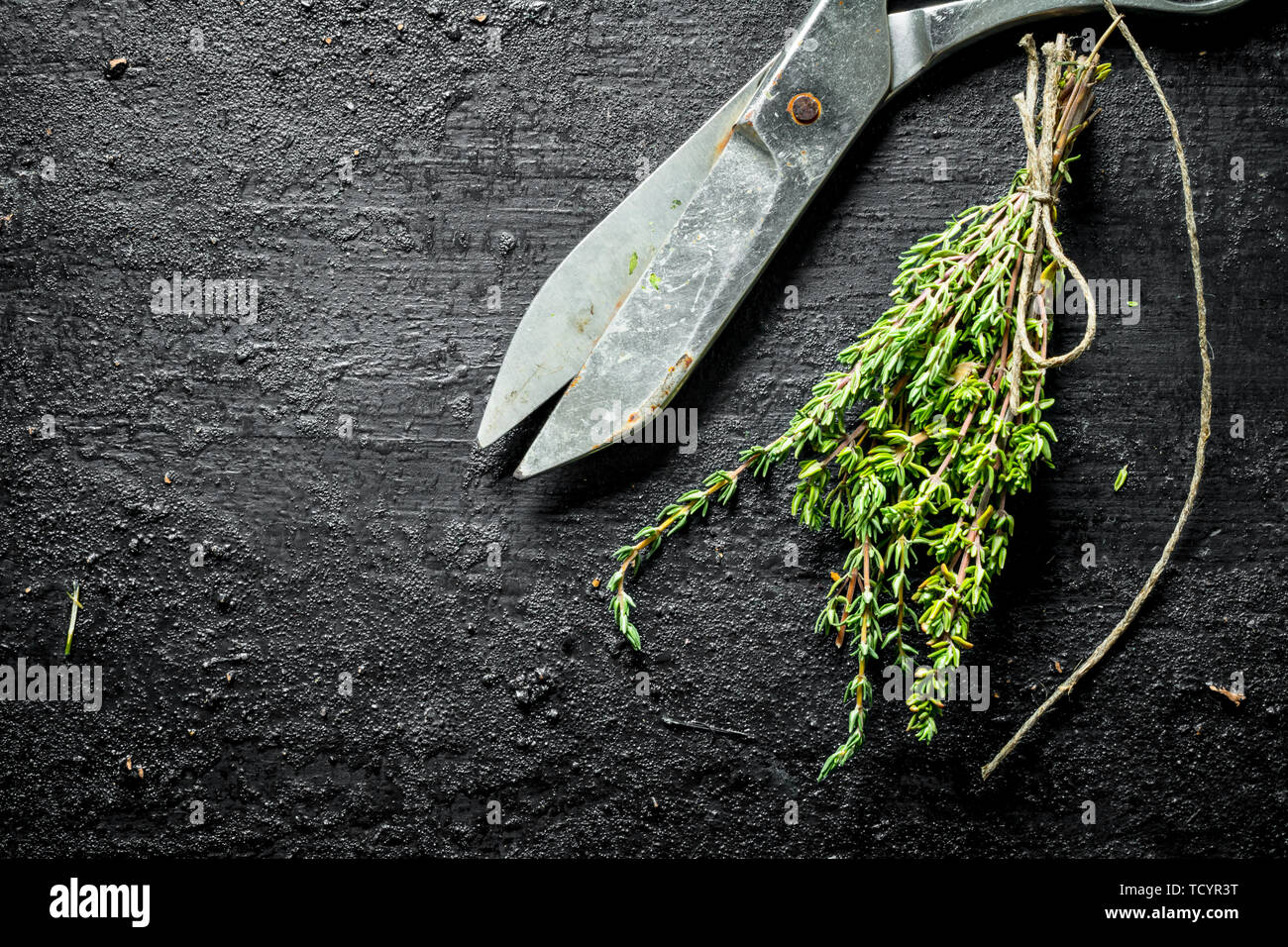 Thyme Plant High Resolution Stock Photography and Images Alamy