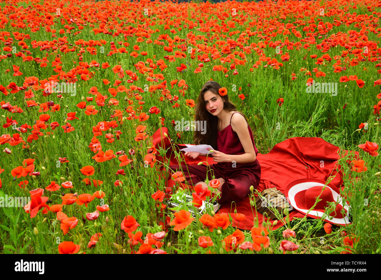 Opium poppy, agile business, ecology. Drug, narcotics, opium, woman with typewriter, camera, book. Woman writer in poppy flower field. Poppy, Remembra Stock Photo