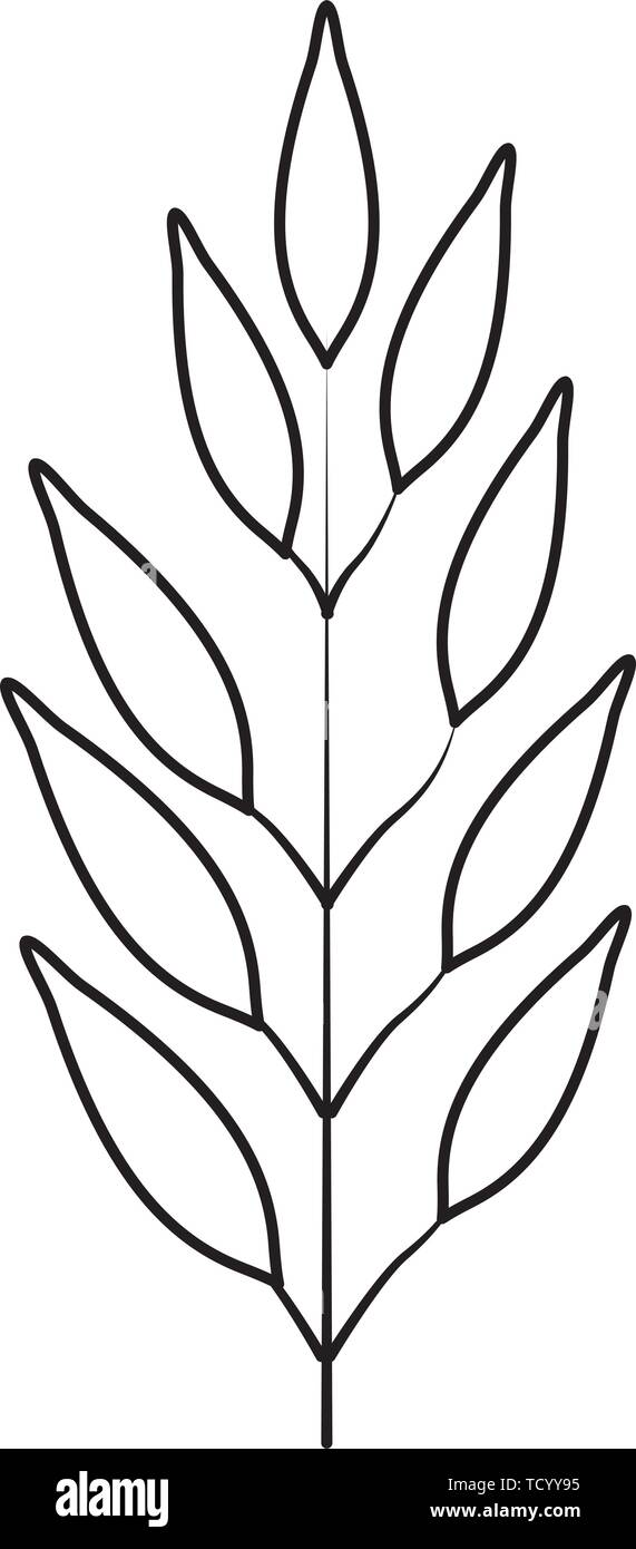 Tropical Leaves Black And White Stock Photos Images Page 3 Alamy
