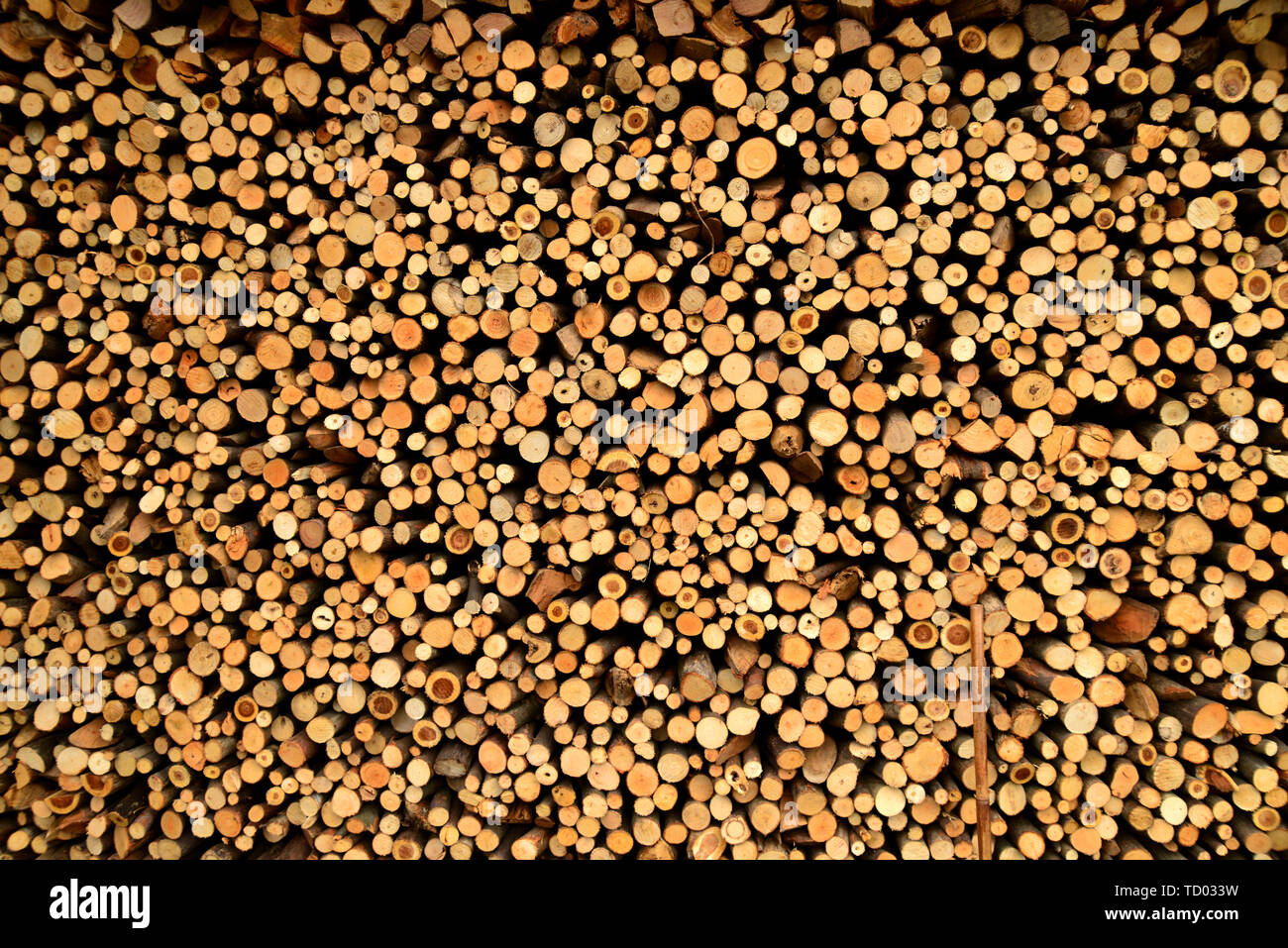 Timber stakes hi-res stock photography and images - Alamy