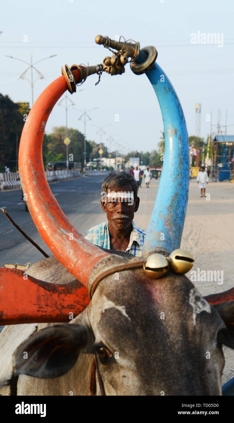 A colorful Bullock cart in Viluppuram, India Stock Photo Alamy
