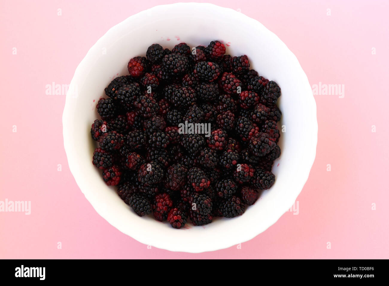 Blackberries in a white bowl on a pink background, top view, summer harvest Stock Photo