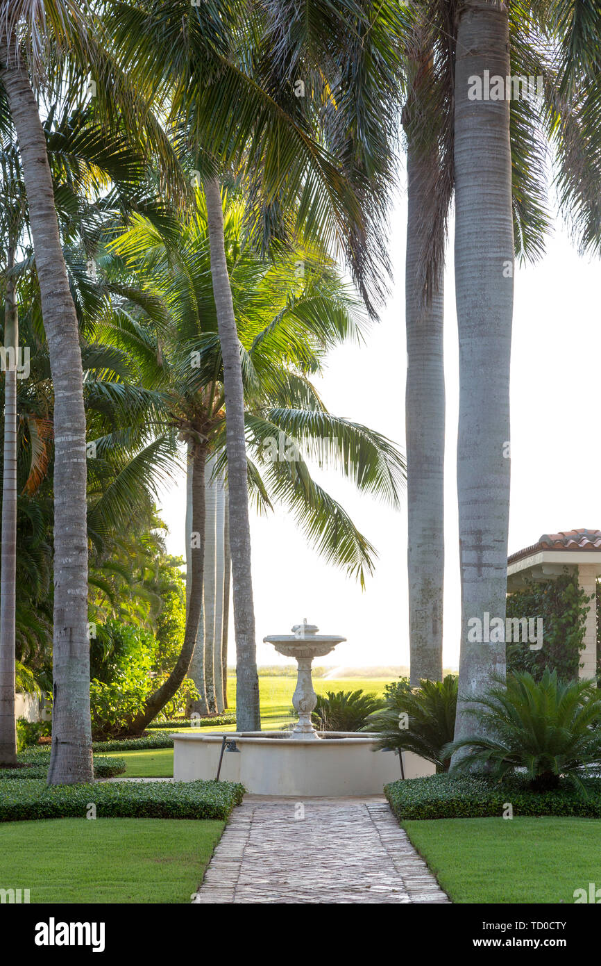 Palm trees and fountain in outdoor living space on the side of luxury home, Naples, Florida, USA Stock Photo