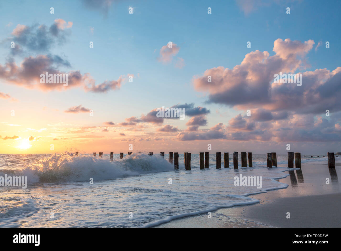 Old pier pilings at sunset over the Gulf of Mexico, Naples, Florida, USA Stock Photo