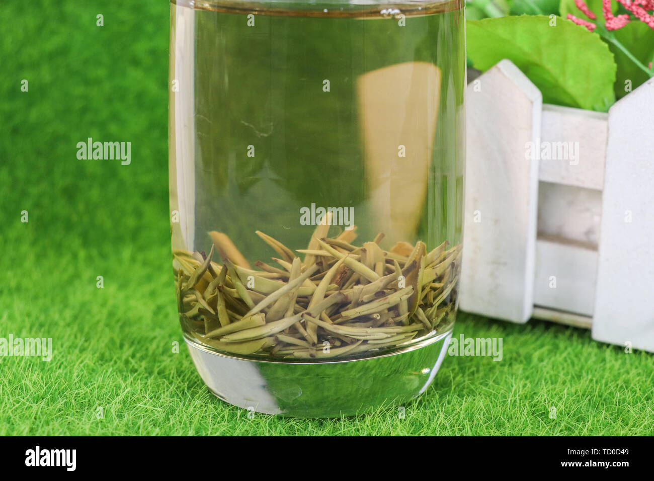Jasmine tea. Jasmine Stock Photo Alamy