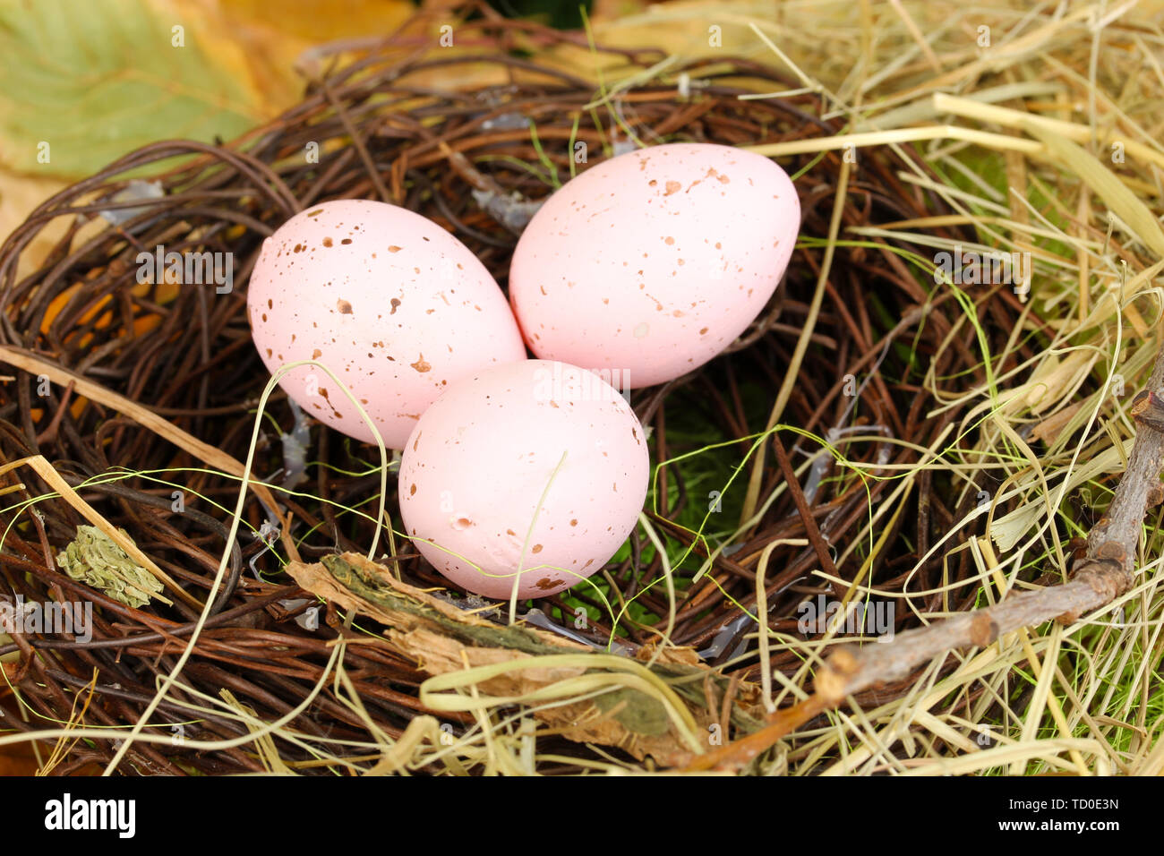 Easter eggs hidden in natural straw nest Stock Photo - Alamy