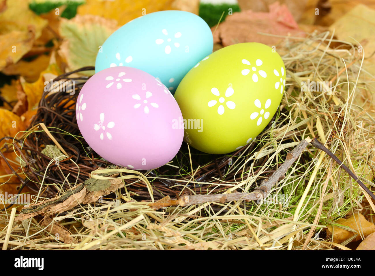 Easter eggs hidden in natural straw nest Stock Photo - Alamy