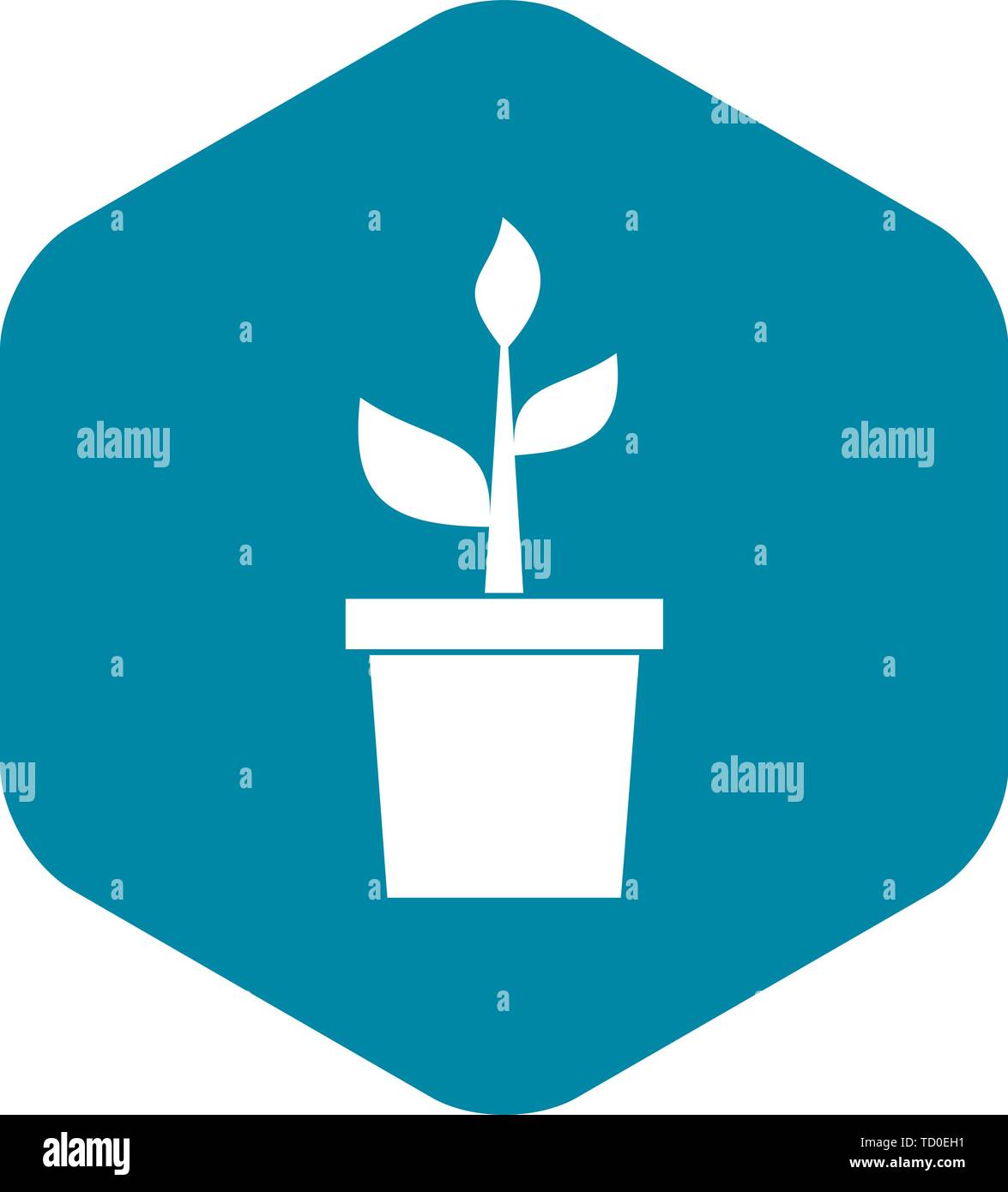 Plant in clay pot icon, simple style Stock Vector Image & Art - Alamy