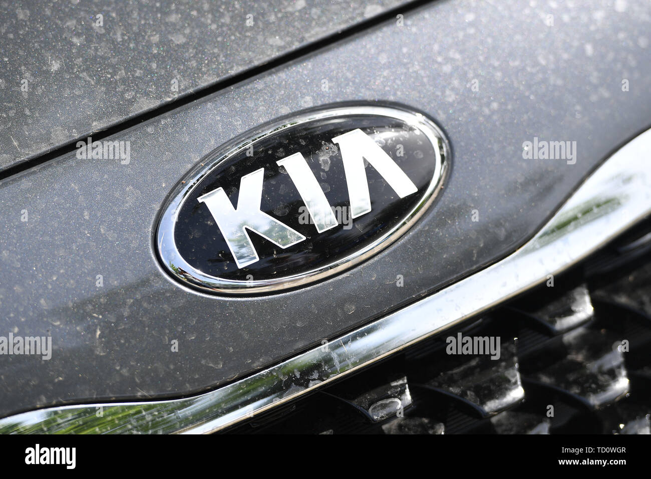 Munich, Deutschland. 10th June, 2019. KIA brand emblem on a Moto hood,  logo, car make. Car maker, logo, emblem