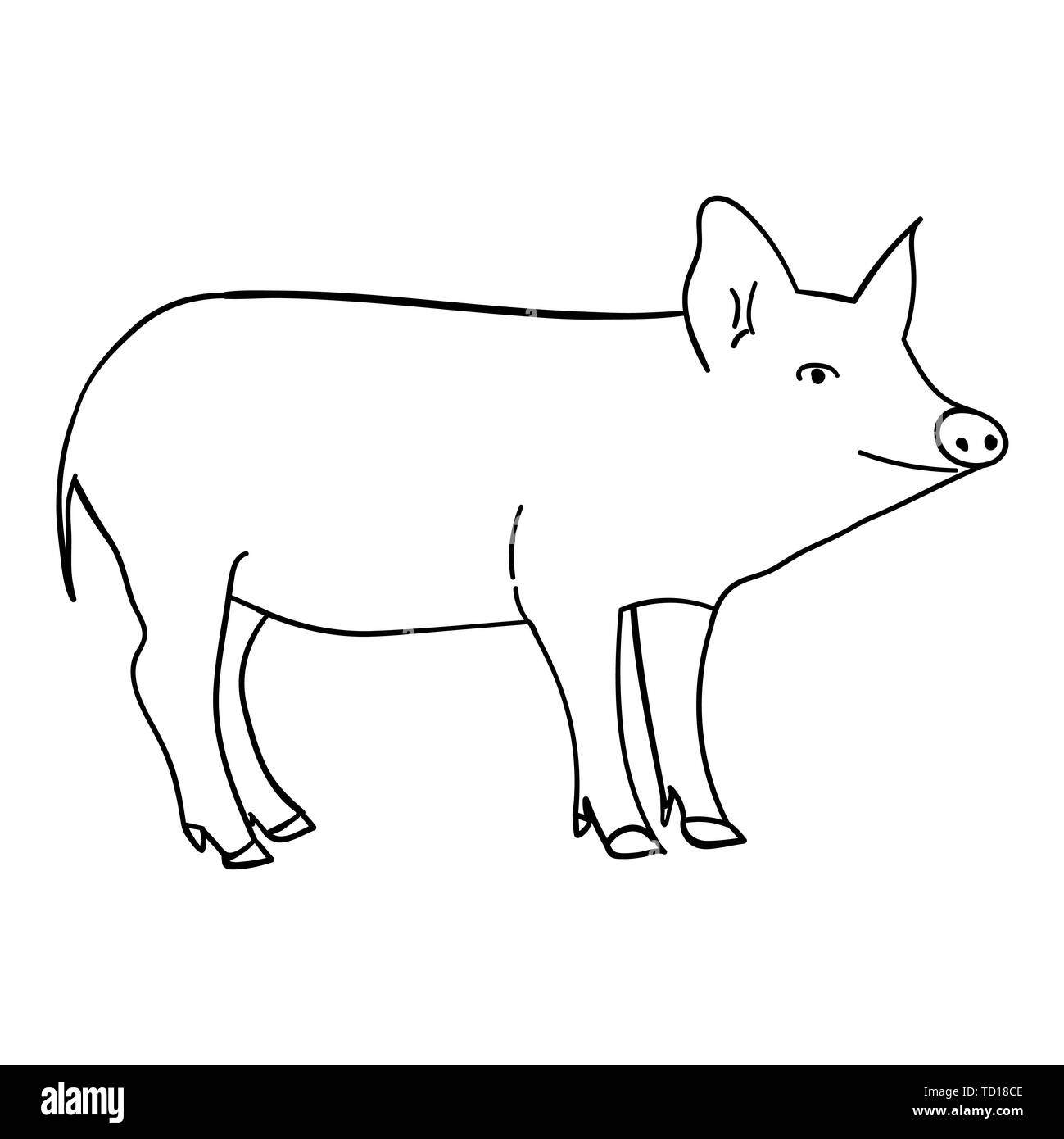 Contour pig in doodle style.  illustration on white background. Stock Photo