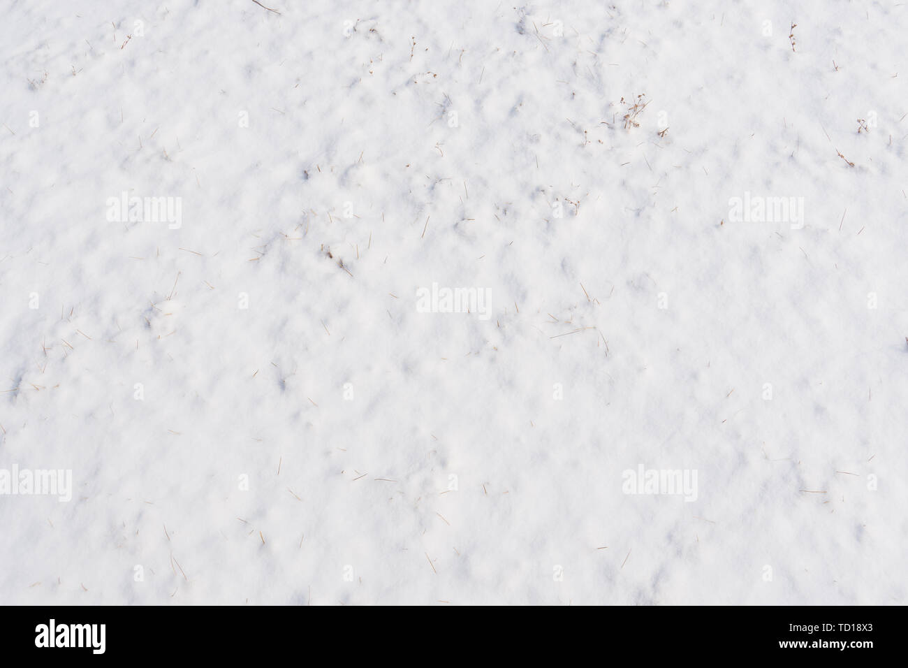 Snow texture close-up Stock Photo - Alamy