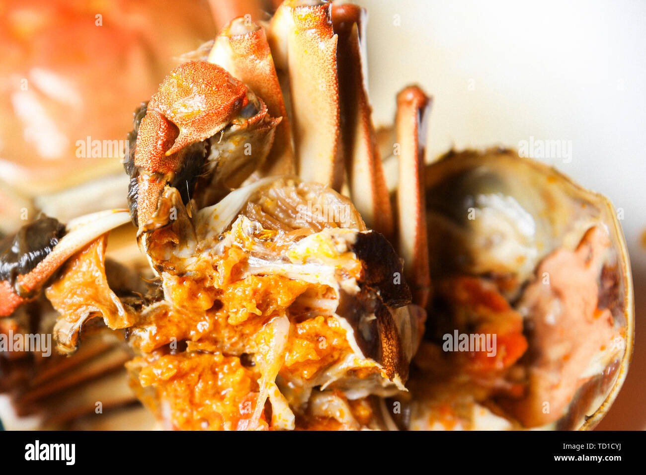 Crab Drunk crab hairy crab closeup Stock Photo Alamy