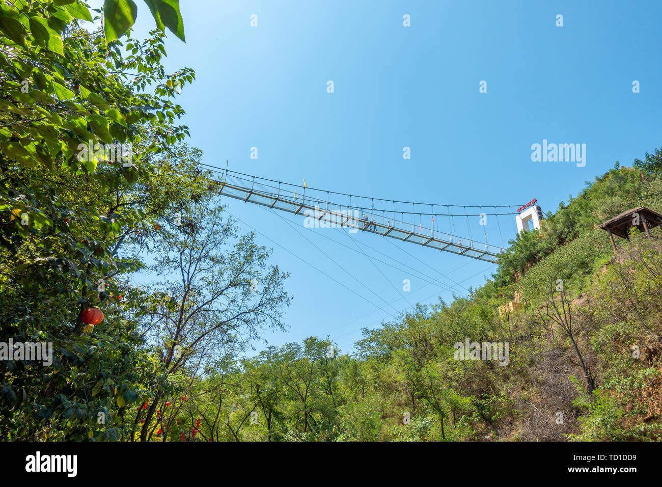 Glass trestle in high altitude Stock Photo - Alamy