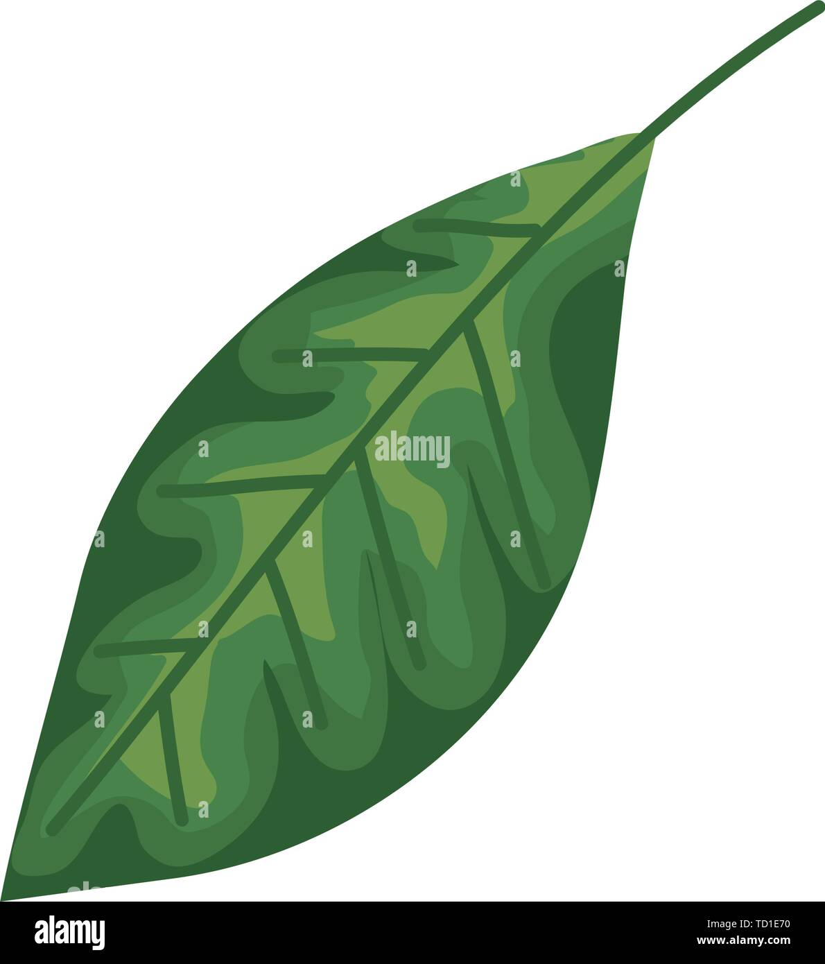 ecology leaf plant nature icon Stock Vector Image & Art - Alamy