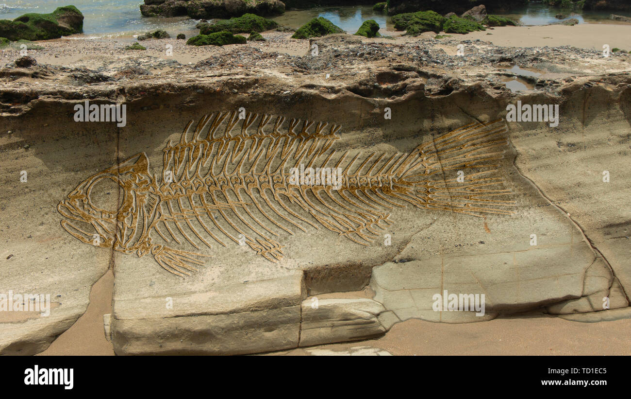 Photomontage of a large fantasy fish fossil on the layers that form on a stone on the beach Stock Photo