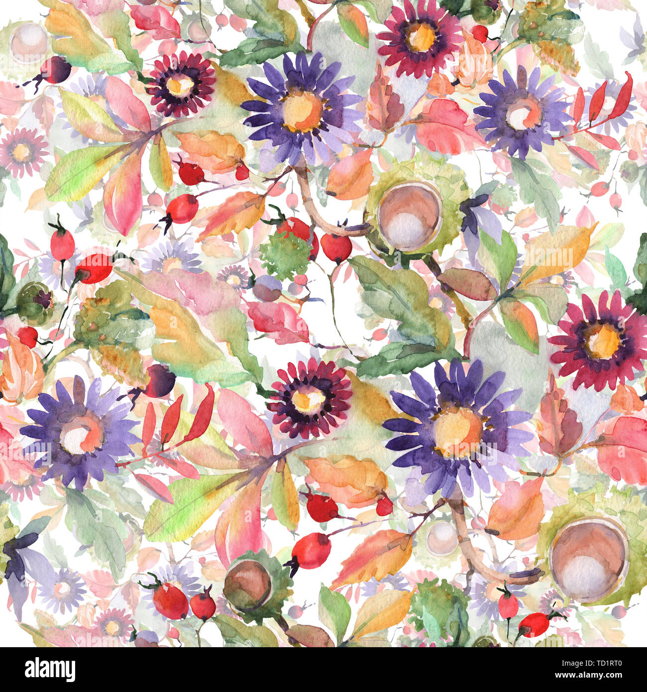 Aster and wildflower bouquet flowers. Wild spring leaf wildflower ...