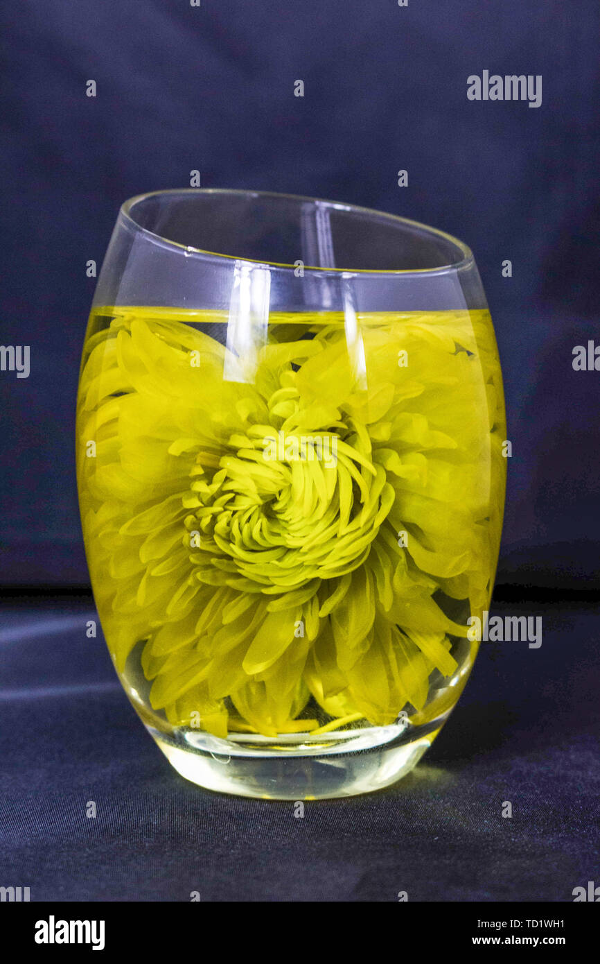 Go fire golden silk royal chrysanthemum tea soup tea material Stock ...