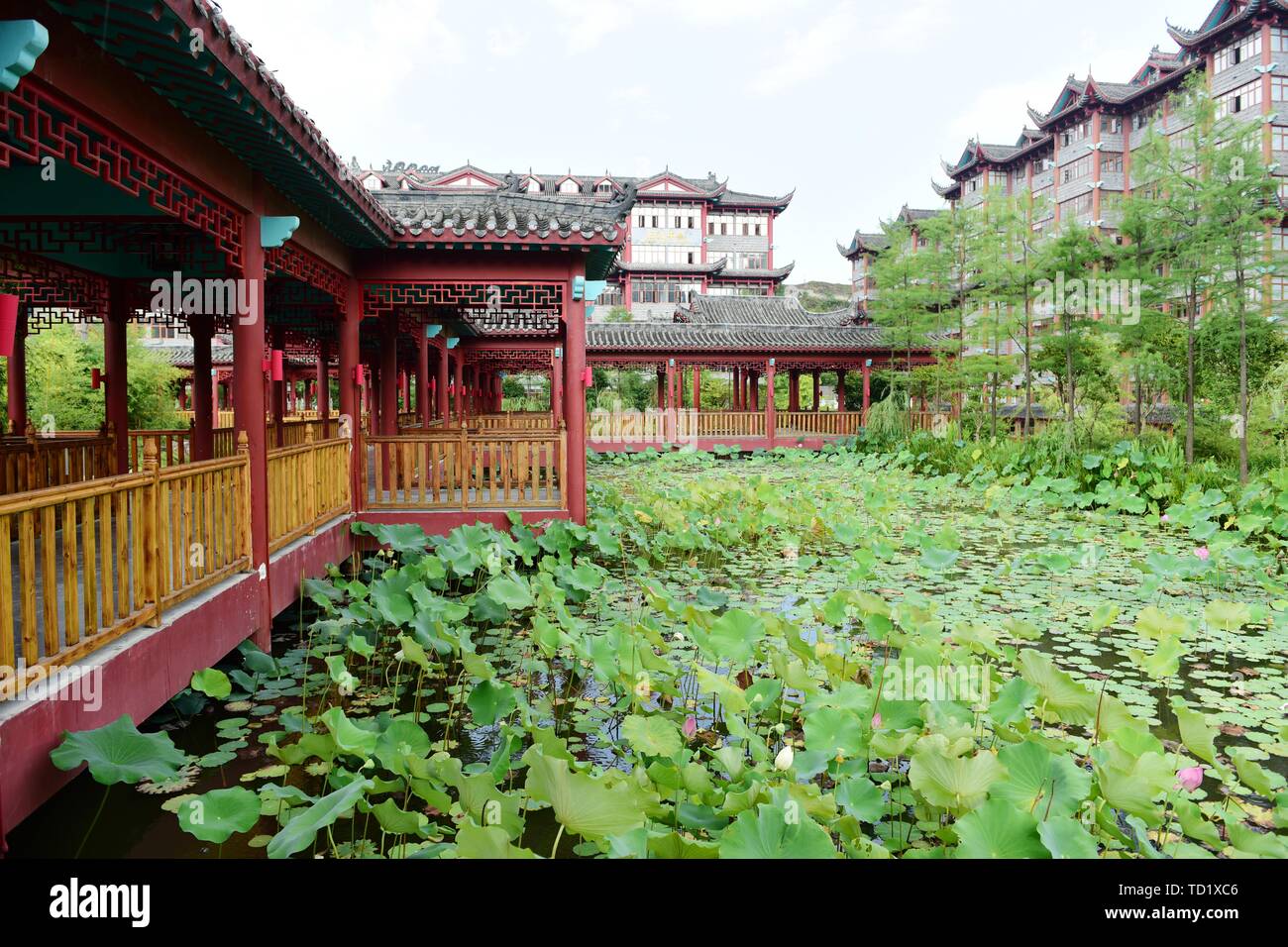 Antique architecture and lotus pavilion lotus Stock Photo Alamy