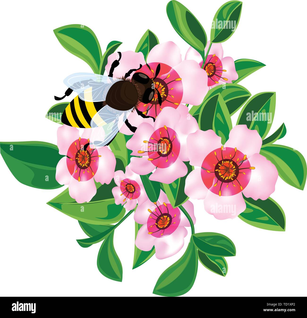 Bee in flowers icon. Cartoon of bee in flowers vector icon for web design  isolated on white background Stock Vector Image & Art - Alamy