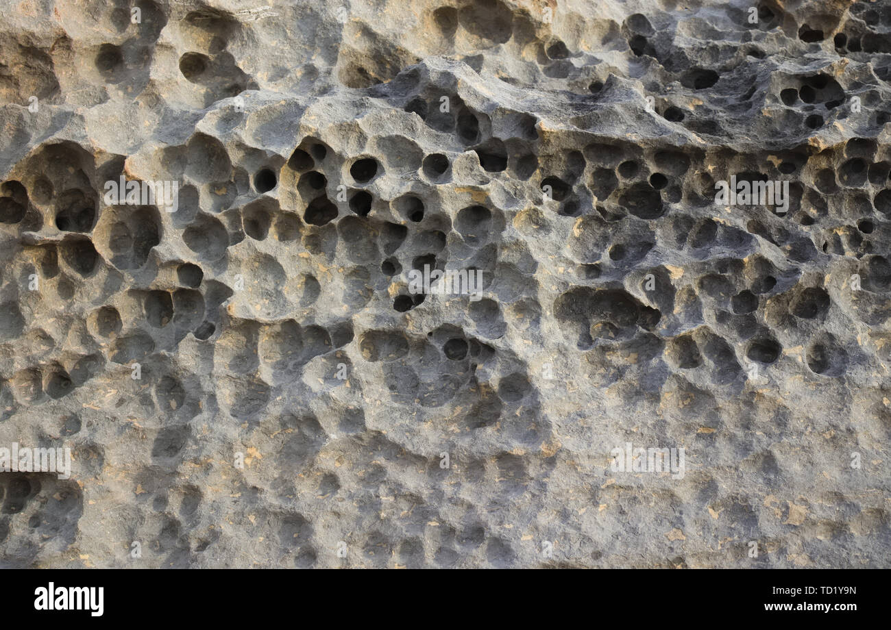 Rock with erosion holes hires stock photography and images Alamy