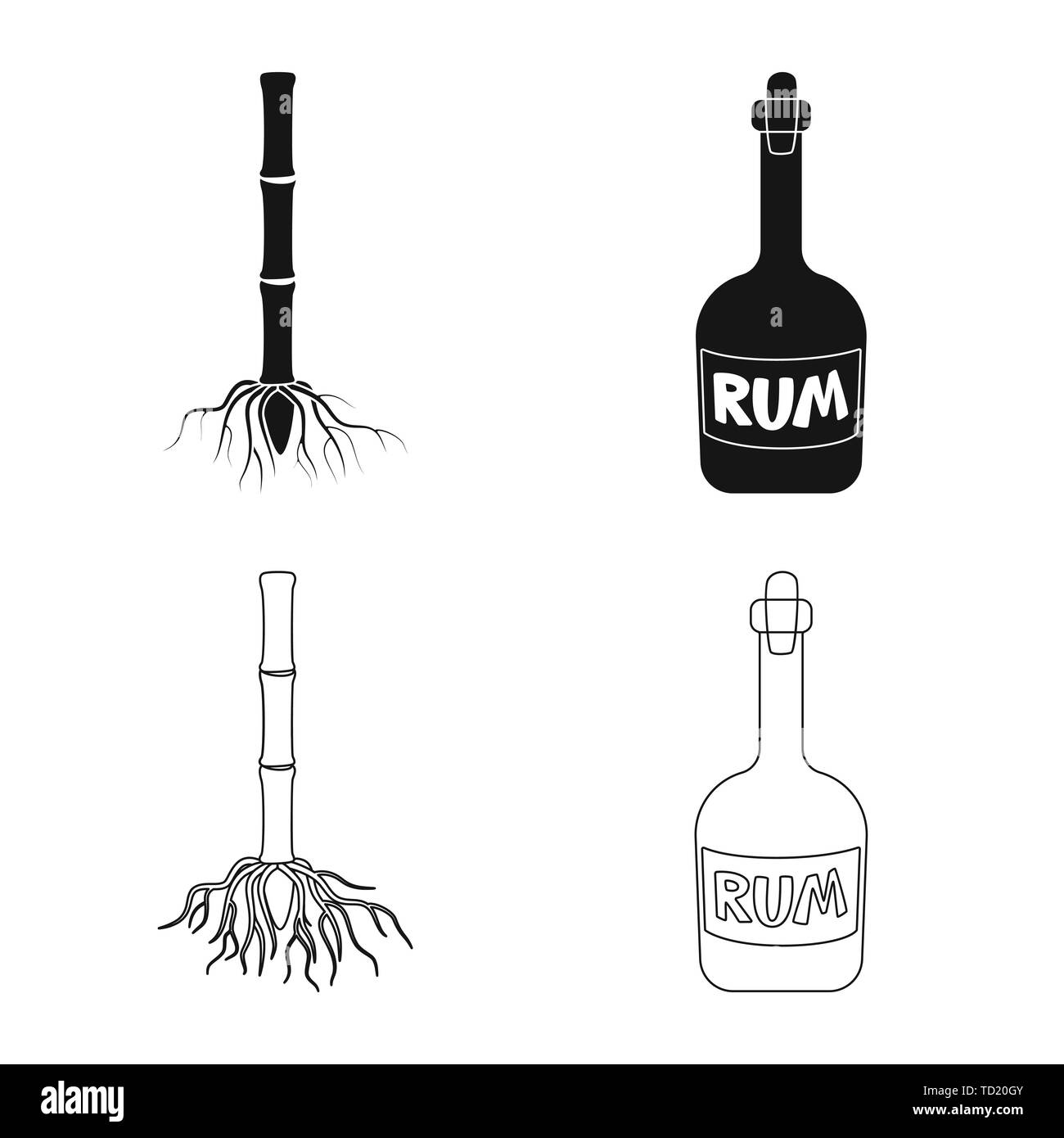 root,rum,system,bottle,stem,alcohol,sprout,glass,underground,bung,eco,pirate,process,drink,development,vintag,basis,capacity,organic,bar,farm,agriculture,sucrose,technology,sugarcane,cane,sugar,field,plant,plantation,set,vector,icon,illustration,isolated,collection,design,element,graphic,sign, Vector Vectors , Stock Vector
