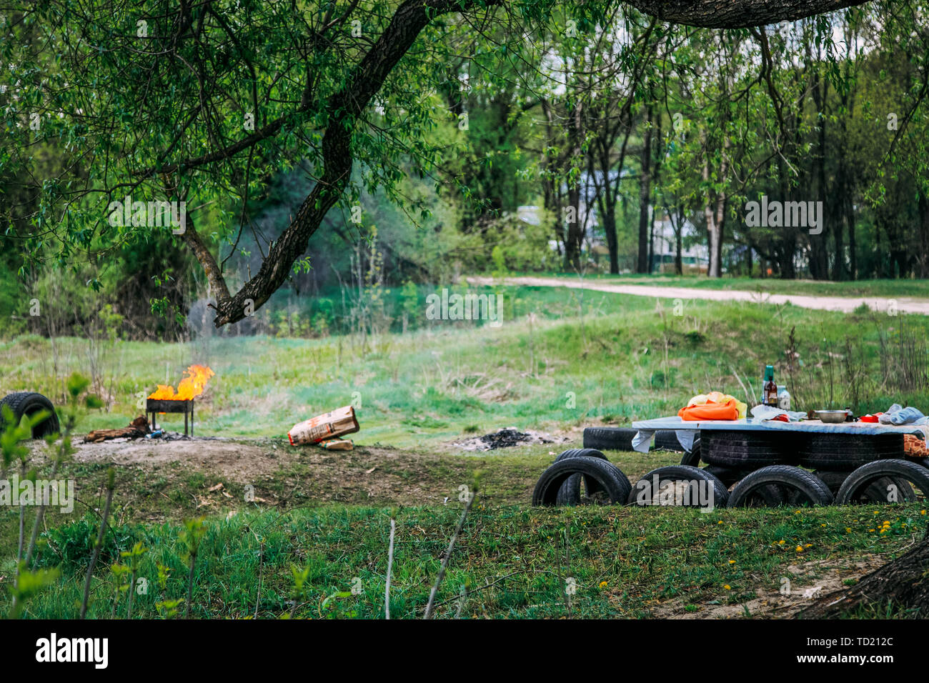 A covered table and barbecue in nature Stock Photo - Alamy