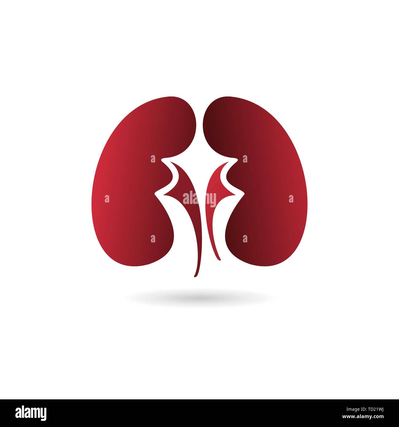 Simple kidneys purple gradient icon symbol and vector image Stock Vector