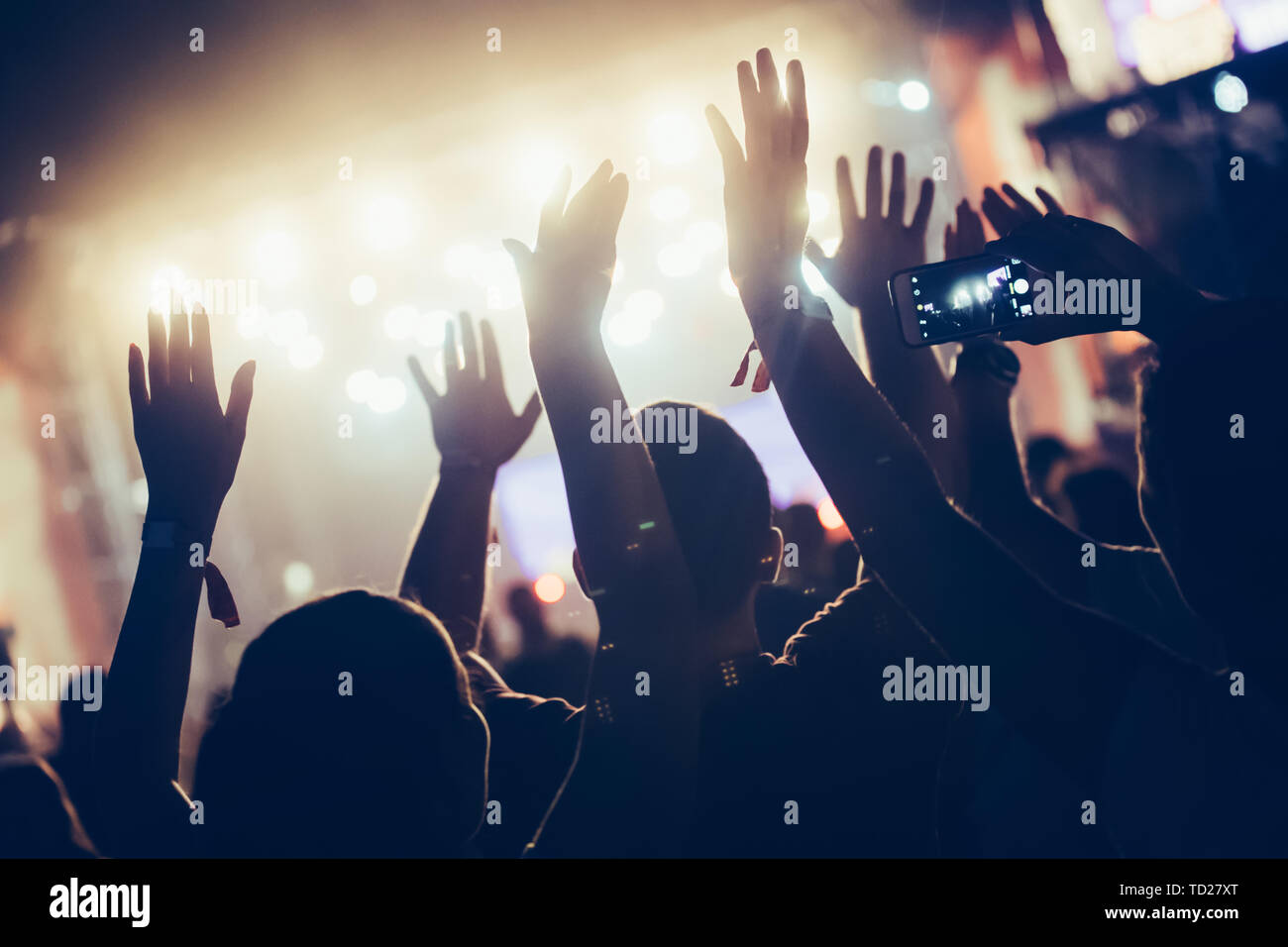 Cheering crowd with hands in air at music festival Stock Photo - Alamy