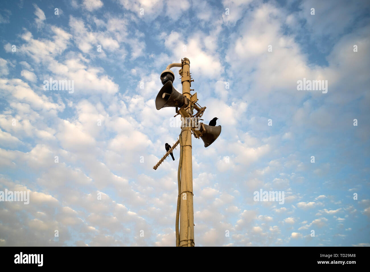 Close up of two outdoor megaphones on pole with two black birds against blue cloudy sky. Two old-looking dusty loudspeakers on the post. Connection Stock Photo
