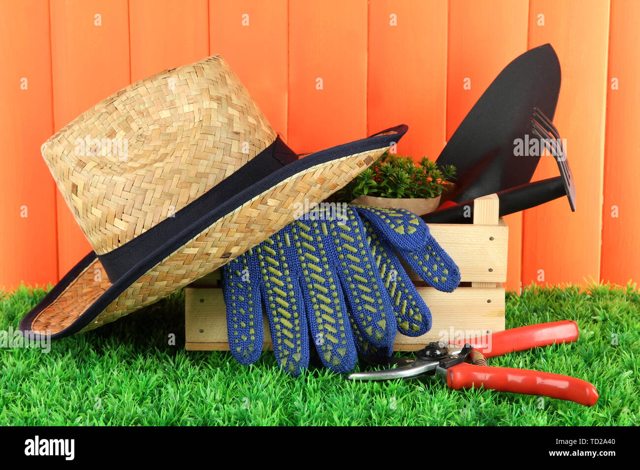 Garden tools on grass in yard Stock Photo - Alamy