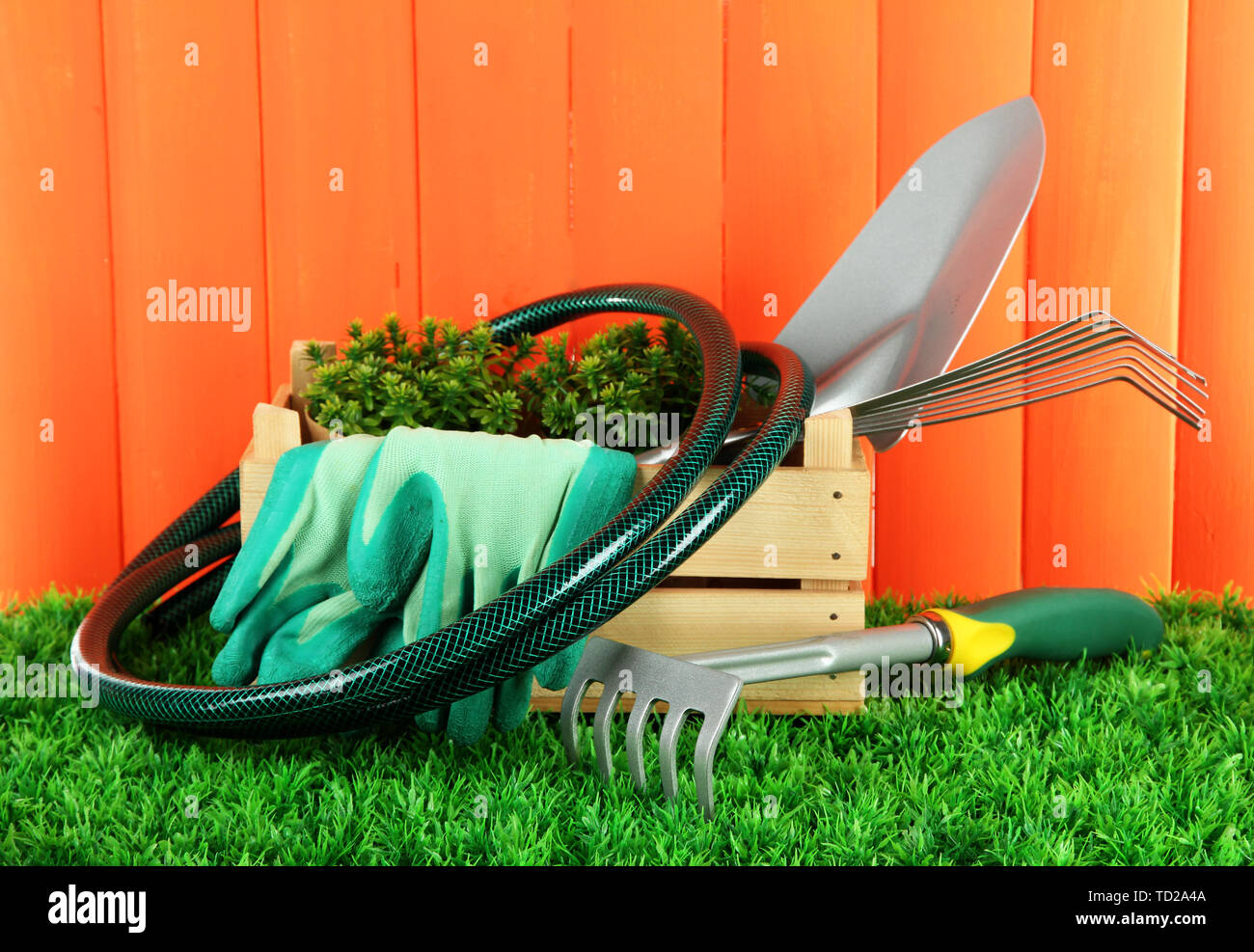 Garden tools on grass in yard Stock Photo - Alamy